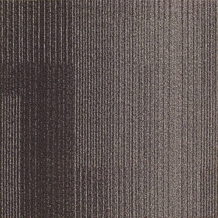 811 022 Carbon 19.7” x 19.7” Next Floor Development Carpet Tiles SQUAREFOOT FLOORING - MISSISSAUGA - TORONTO - BRAMPTON